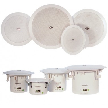IP Громкоговоритель, потолочный IP-S508