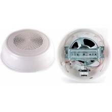 Громкоговоритель настенный WP-10T