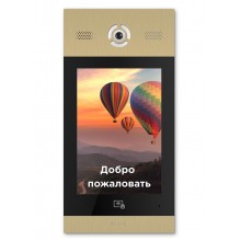 Вызывная панель подъездного IP-домофона AA-14FB GOLD