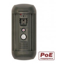 Вызывная панель IP-домофона DS06AP (Gray)